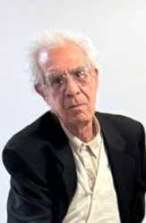 Vittorio Lelio Bertoldi